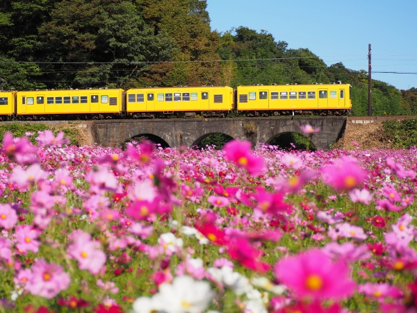 Japan Local Railway: Sangi Railway Adventure