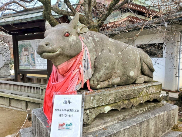 Ushi in the new year: Lottery of the lucky cow at Kyoto’s Kitano Tenmangu