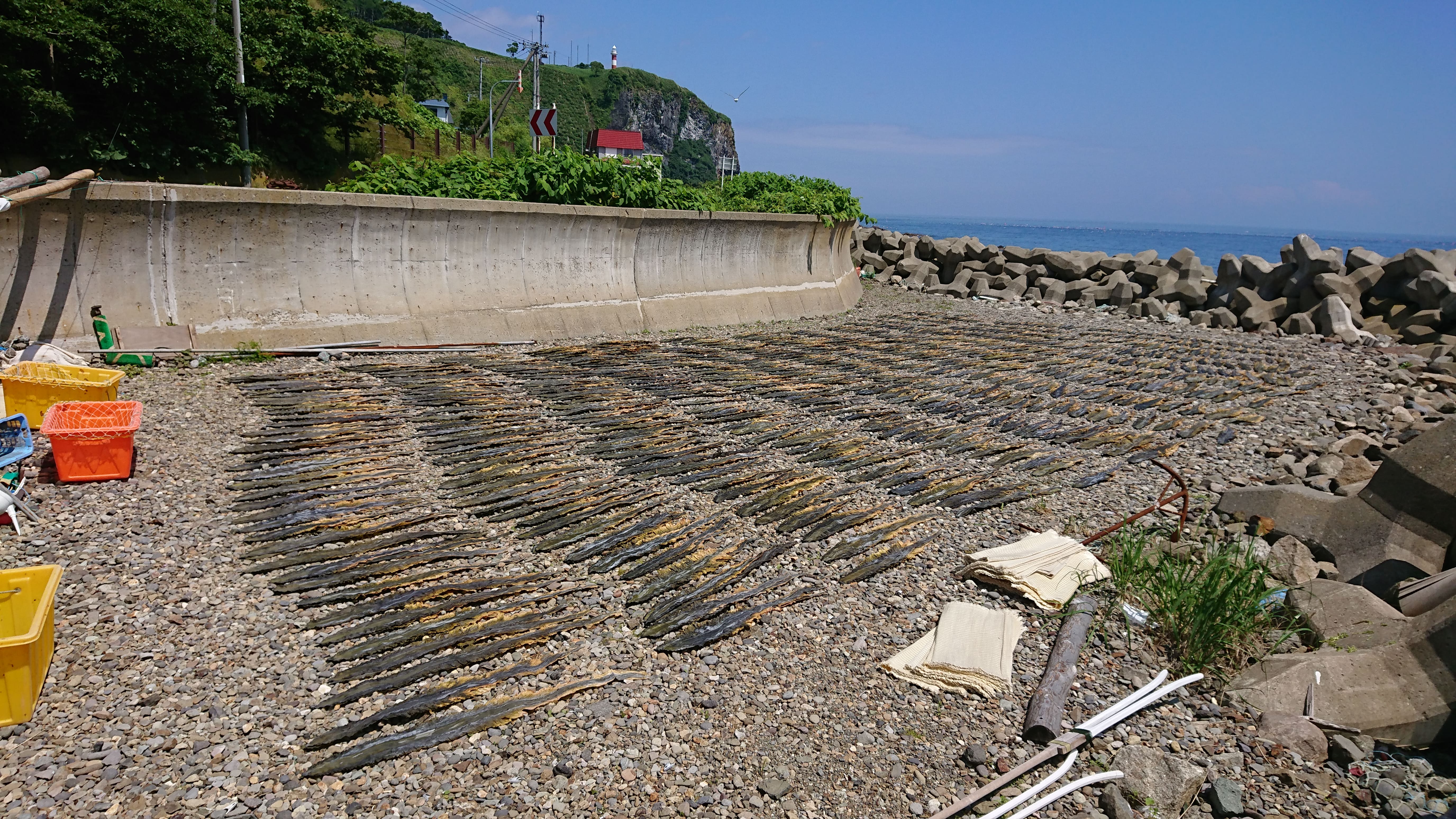 Delicacies of Hokkaido: Uni and kombu from the coastal town of