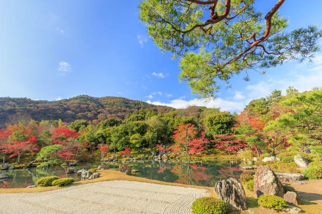 Japanese Gardens Kyoto Japan