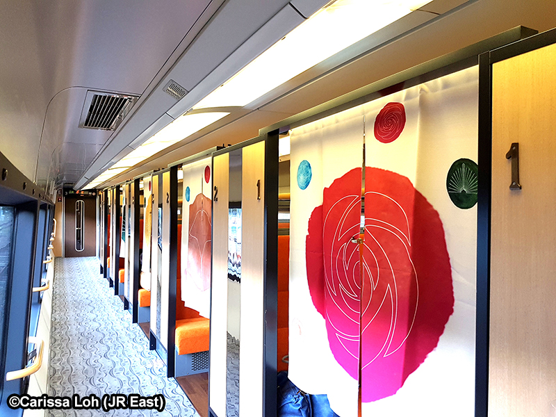 Resort trains to the Izu Peninsula: IZU CRAILE and SAPHIR ODORIKO