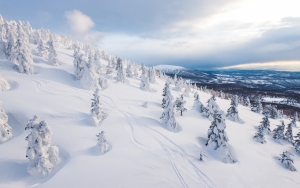 5 activities for an avalanche of fun in snowy Aomori