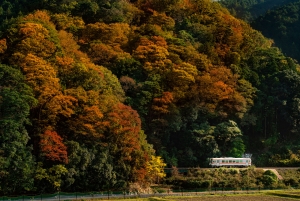 Relax and rejuvenate in the remote countryside of Mie Prefecture