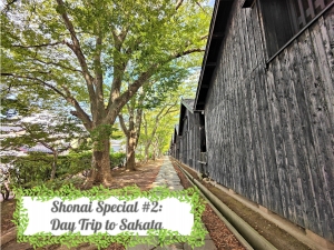 Shonai Special #2: Day trip to Sakata