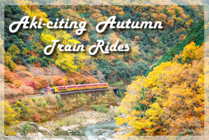 Aki-citing autumn train rides: 4 magical train rides to enjoy autumn views in Japan