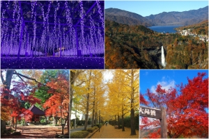 Autumn in Tochigi: 5 must-visit autumns spots from the 5 areas of Tochigi