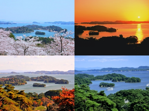Pine-ing for more: 6 ways to enjoy Matsushima Bay