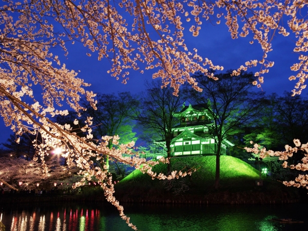Sakura Series #3: Cherry blossom spots with a castle backdrop (Shinetsu edition)