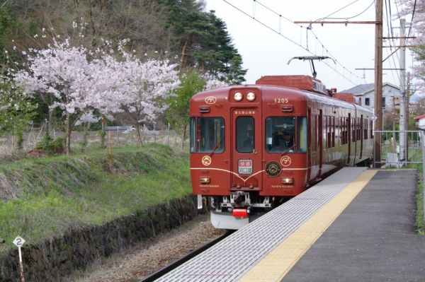 Beyond the brochure: A trip for every season with the JR TOKYO Wide ...