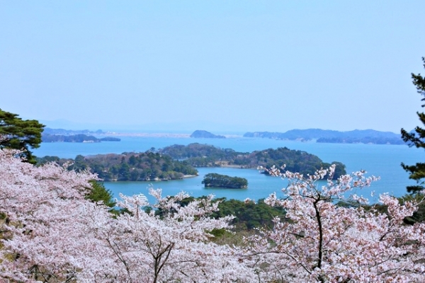 Matsushima: Hòn ngọc quý của vùng Tohoku