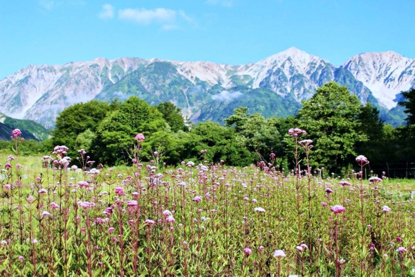 ฮาคุบะช่วงฤดูร้อน สถานที่นี้เต็มไปด้วยธรรมชาติและการผจญภัยอันงดงาม