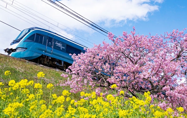 รถไฟท่องเที่ยวสุดหรูแห่งแหลมอิสุจาก JR East: SAPHIR ODORIKO