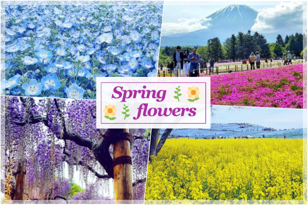 After sakura: Other spring flowers to enjoy near Tokyo!