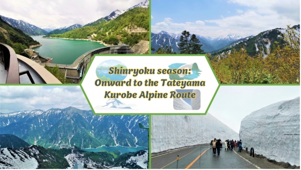 Shinryoku season: Onward to the Tateyama Kurobe Alpine Route