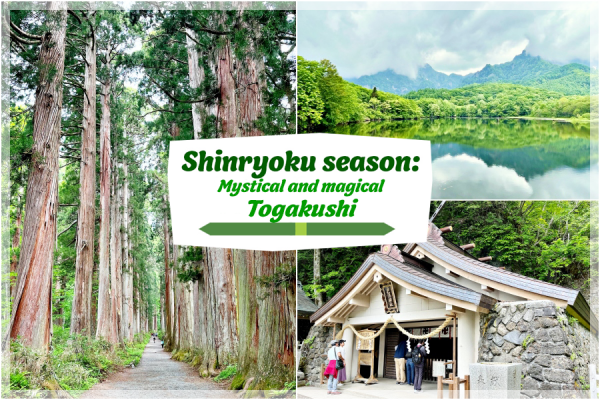 Shinryoku season: Mystical and magical Togakushi