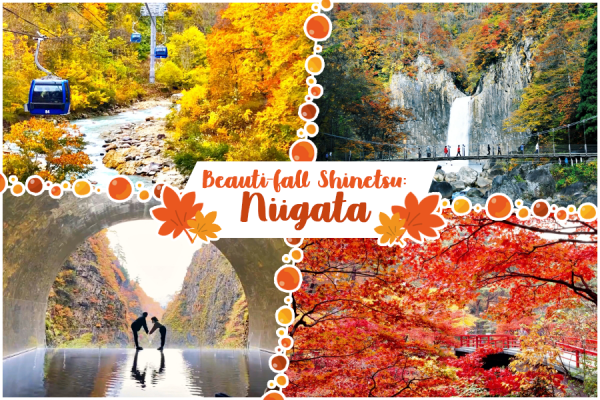 Keindahan musim gugur Shinetsu Bagian 2: Dedaunan musim gugur yang luar biasa indah di Niigata