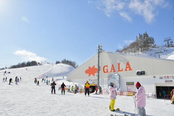 Enjoy the cold in Snow Country: 4 ways to experience winter in Niigata Prefecture