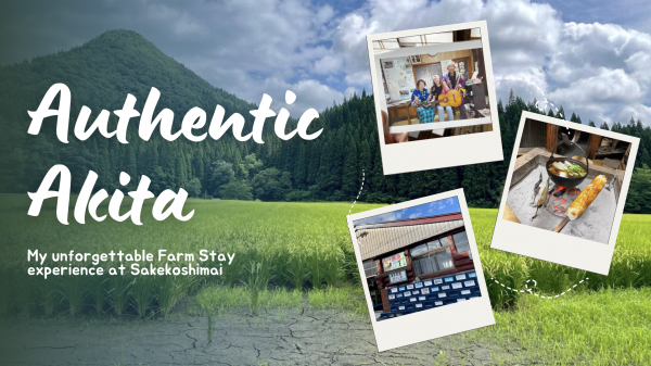 Authentic Akita: My unforgettable farm stay experience at Sakekoshimai