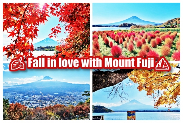 Awesome Autumn: 5 spots to 