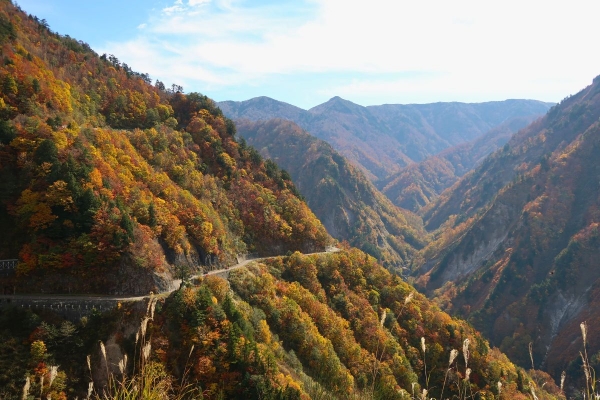 Awesome Autumn: A scenic autumn drive through the Hakusan Shirakawa-go White Road
