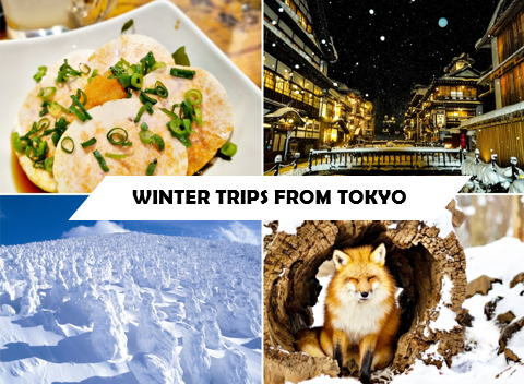 Winter-ful Eastern Japan: Winter trips from Tokyo with the JR EAST PASS