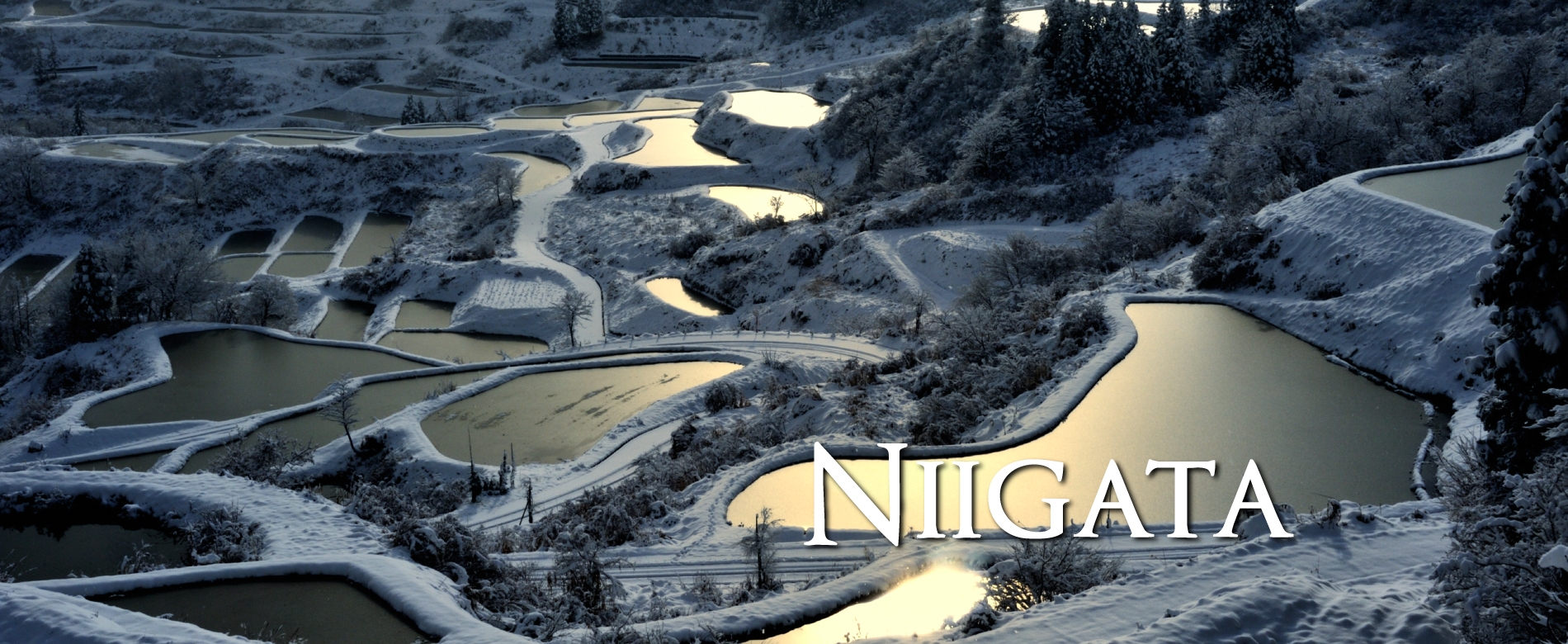Niigata